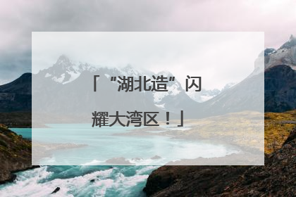 “湖北造”闪耀大湾区！