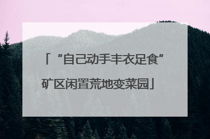 “自己动手丰衣足食”矿区闲置荒地变菜园