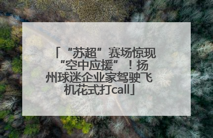 “苏超”赛场惊现 “空中应援”！扬州球迷企业家驾驶飞机花式打call