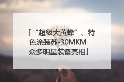 “超级大黄蜂”、特色涂装苏-30MKM 众多明星装备亮相