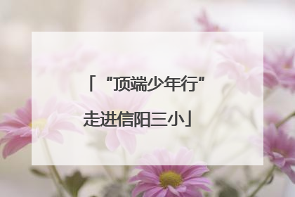 “顶端少年行”走进信阳三小