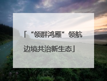 “领群鸿雁”领航边境共治新生态