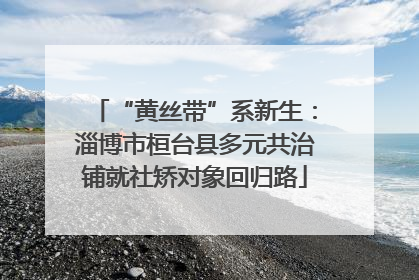 “黄丝带”系新生：淄博市桓台县多元共治铺就社矫对象回归路