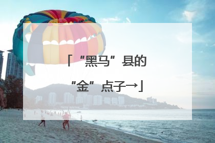 “黑马”县的“金”点子→