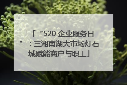 “520 企业服务日”：三湘南湖大市场灯石城赋能商户与职工