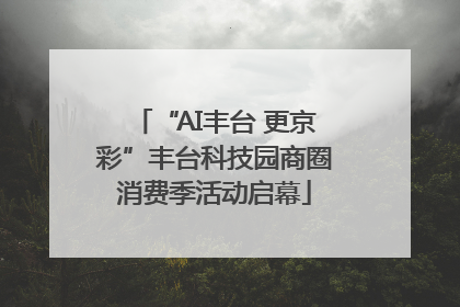 “AI丰台 更京彩”丰台科技园商圈消费季活动启幕