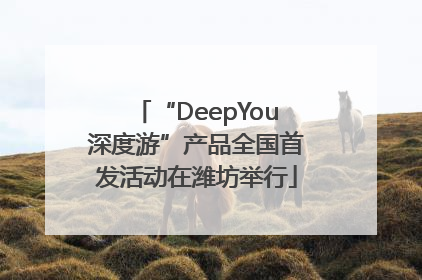 “DeepYou深度游”产品全国首发活动在潍坊举行