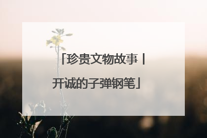 珍贵文物故事丨开诚的子弹钢笔