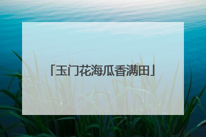 玉门花海瓜香满田
