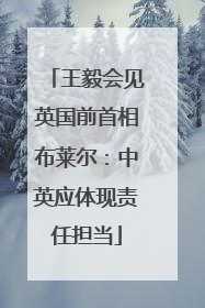 王毅会见英国前首相布莱尔：中英应体现责任担当