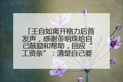 王自如离开格力后首发声，感谢董明珠给自己鼓励和帮助，回应“工资条”：清楚自己要什么，工资条不重要