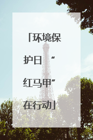 环境保护日 “红马甲”在行动