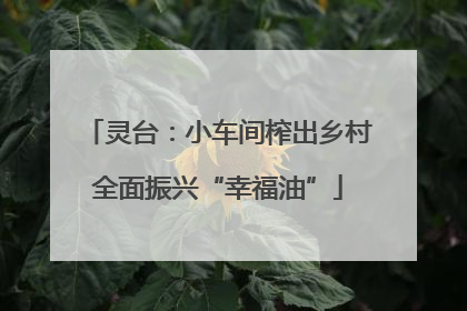 灵台：小车间榨出乡村全面振兴“幸福油”
