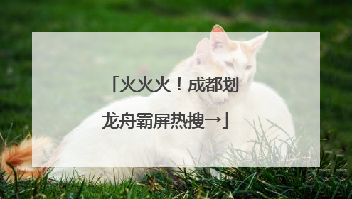 火火火！成都划龙舟霸屏热搜→