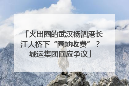 火出圈的武汉杨泗港长江大桥下“圈地收费”？城运集团回应争议