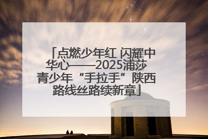 点燃少年红 闪耀中华心——2025浦莎青少年“手拉手”陕西路线丝路续新章