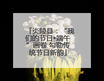 炎陵县：“我们的节日•端午”画卷 勾勒传统节日新韵