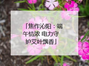 焦作沁阳：端午情浓 电力守护艾叶飘香