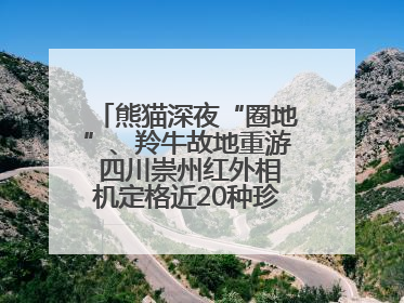 熊猫深夜“圈地”、羚牛故地重游 四川崇州红外相机定格近20种珍稀动物呆萌瞬间