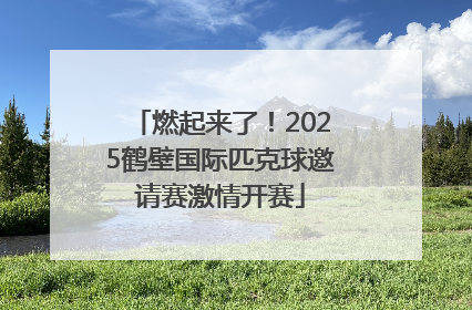 燃起来了！2025鹤壁国际匹克球邀请赛激情开赛