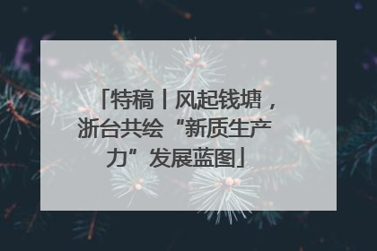 特稿丨风起钱塘，浙台共绘“新质生产力”发展蓝图