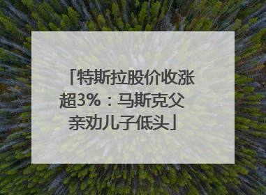 特斯拉股价收涨超3%：马斯克父亲劝儿子低头