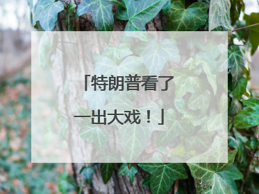 特朗普看了一出大戏！