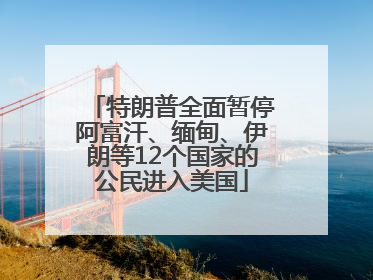 特朗普全面暂停阿富汗、缅甸、伊朗等12个国家的公民进入美国