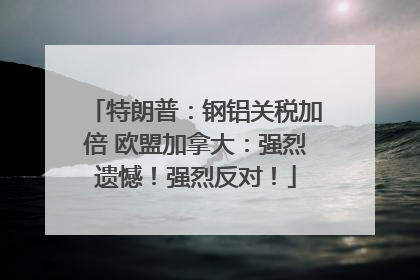 特朗普：钢铝关税加倍 欧盟加拿大：强烈遗憾！强烈反对！