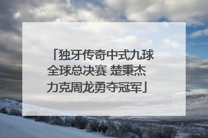 独牙传奇中式九球全球总决赛 楚秉杰力克周龙勇夺冠军