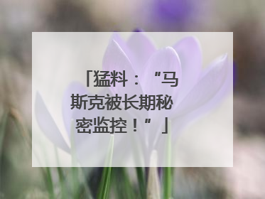 猛料：“马斯克被长期秘密监控！”