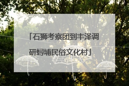 石狮考察团到丰泽调研蟳埔民俗文化村