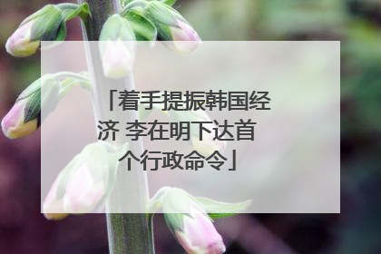 着手提振韩国经济 李在明下达首个行政命令