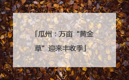 瓜州：万亩“黄金草”迎来丰收季