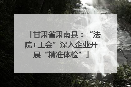 甘肃省肃南县：“法院+工会”深入企业开展“精准体检”
