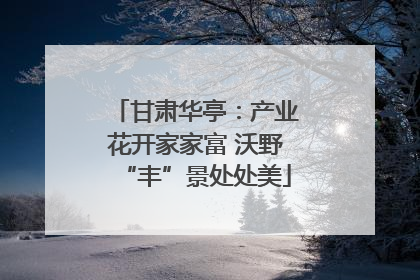 甘肃华亭：产业花开家家富 沃野“丰”景处处美
