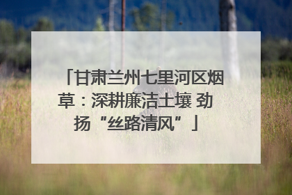 甘肃兰州七里河区烟草：深耕廉洁土壤 劲扬“丝路清风”