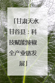 甘肃天水甘谷县：科技赋能辣椒全产业链发展