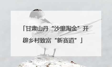 甘肃山丹“沙里淘金”开辟乡村致富“新赛道”