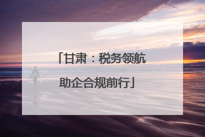 甘肃：税务领航 助企合规前行