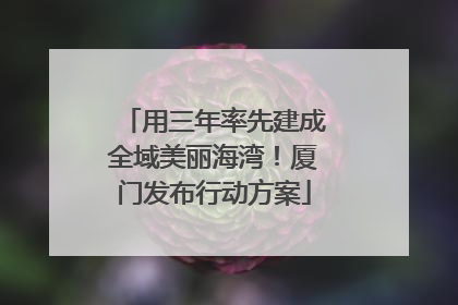 用三年率先建成全域美丽海湾！厦门发布行动方案