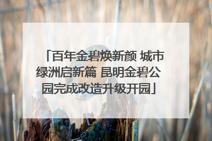百年金碧焕新颜 城市绿洲启新篇 昆明金碧公园完成改造升级开园