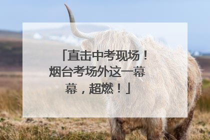 直击中考现场！烟台考场外这一幕幕，超燃！