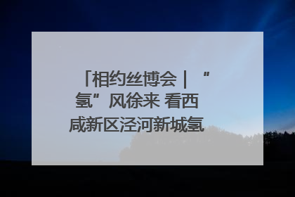 相约丝博会｜“氢”风徐来 看西咸新区泾河新城氢能产业聚链成势