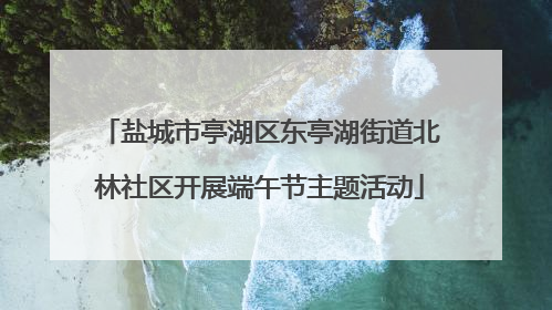 盐城市亭湖区东亭湖街道北林社区开展端午节主题活动