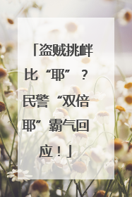 盗贼挑衅比“耶”？民警“双倍耶”霸气回应！