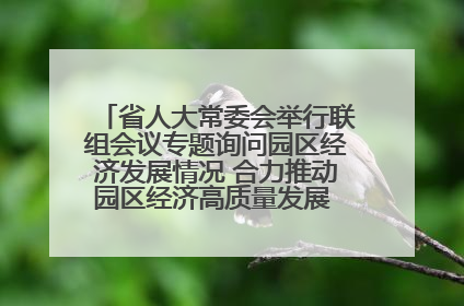 省人大常委会举行联组会议专题询问园区经济发展情况 合力推动园区经济高质量发展 王宁主持会议并讲话 王予波带队到会应询