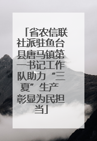 省农信联社派驻鱼台县唐马镇第一书记工作队助力“三夏”生产 彰显为民担当