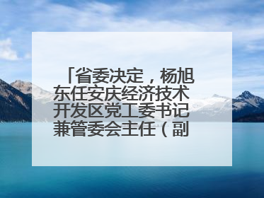 省委决定，杨旭东任安庆经济技术开发区党工委书记兼管委会主任（副厅级）