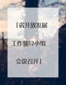 省开放发展工作领导小组会议召开